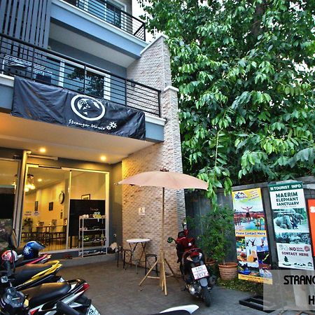 Stranger House Hostel Chiang Mai Luaran gambar